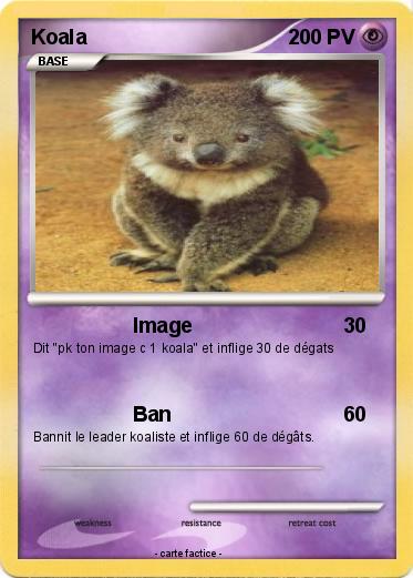 Pokemon Koala