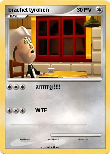 Pokemon brachet tyrolien