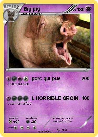 Pokemon Big pig