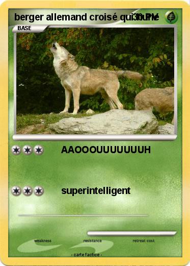 Pokemon berger allemand croisé qui hurle