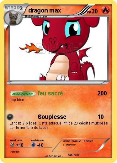 Pokemon dragon max