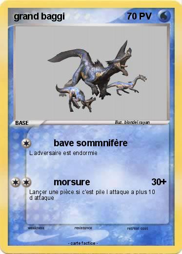 Pokemon grand baggi