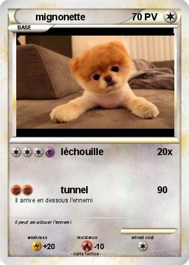 Pokemon mignonette