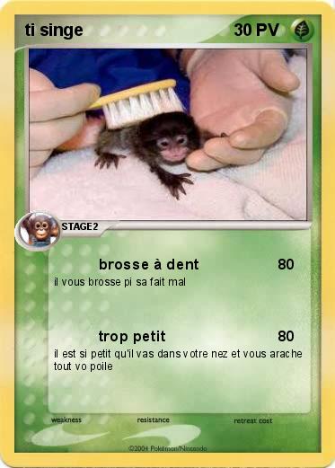 Pokemon ti singe