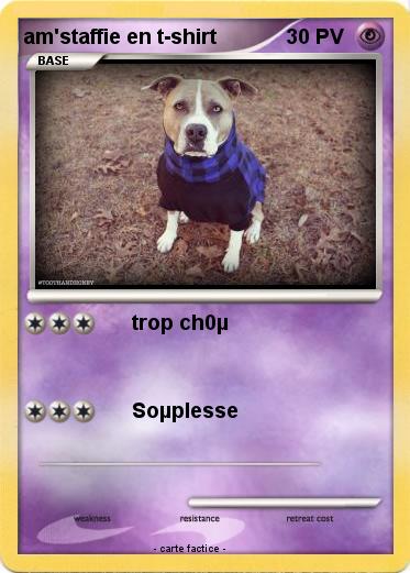 Pokemon am'staffie en t-shirt