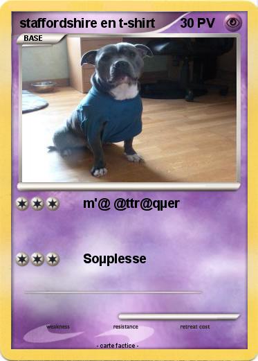 Pokemon staffordshire en t-shirt