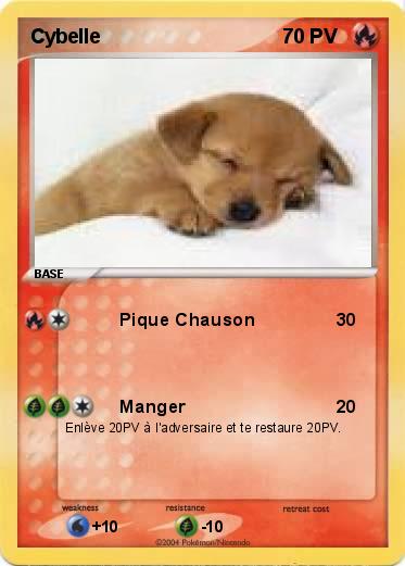 Pokemon Cybelle