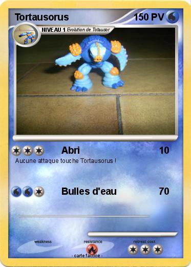 Pokemon Tortausorus