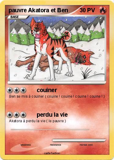 Pokemon pauvre Akatora et Ben