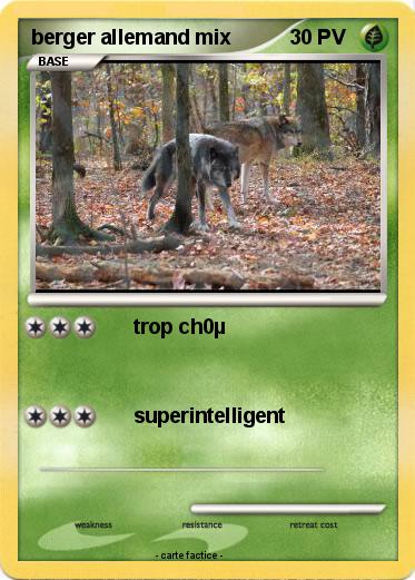 Pokemon berger allemand mix