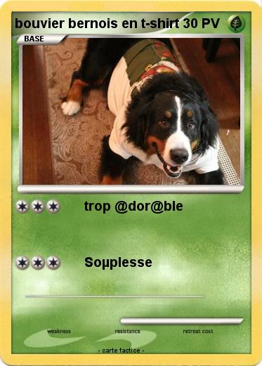 Pokemon bouvier bernois en t-shirt