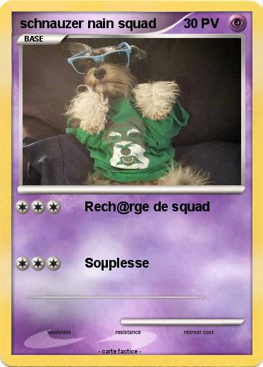 Pokemon schnauzer nain squad