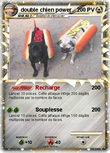 Pokemon double chien power