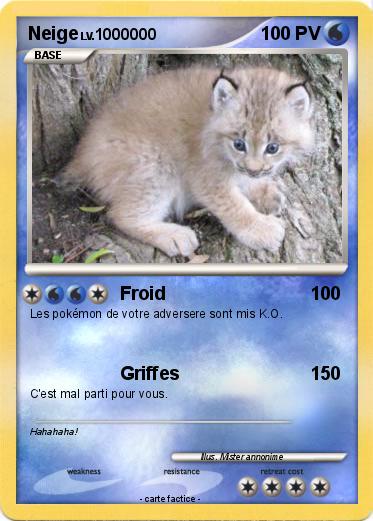 Pokemon Neige
