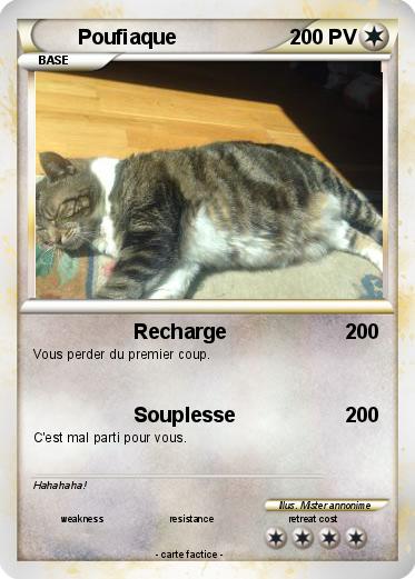 Pokemon Poufiaque