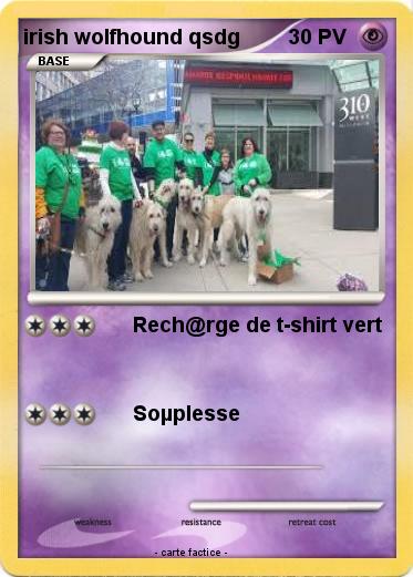 Pokemon irish wolfhound qsdg