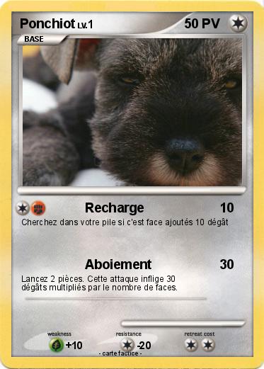 Pokemon Ponchiot