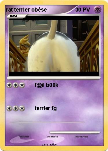 Pokemon rat terrier obèse