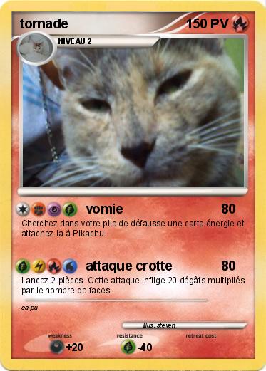Pokemon tornade