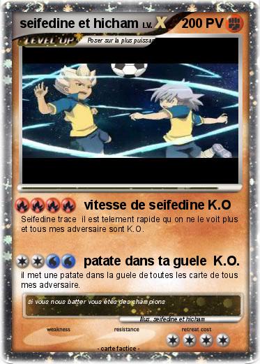 Pokemon seifedine et hicham