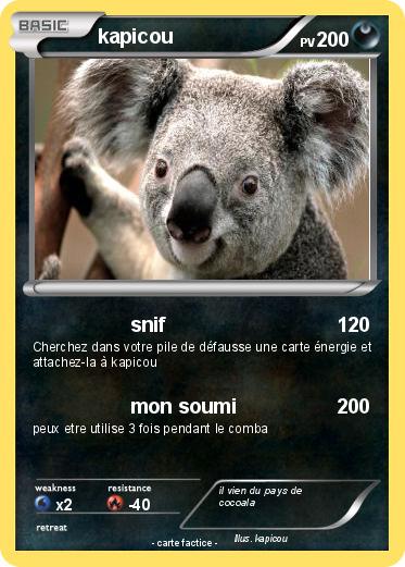 Pokemon kapicou