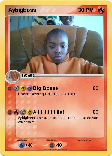 Pokemon Aybigboss