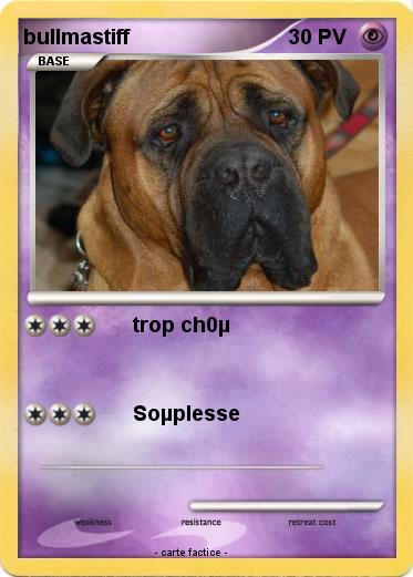 Pokemon bullmastiff
