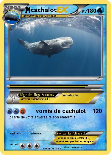 Pokemon cachalot
