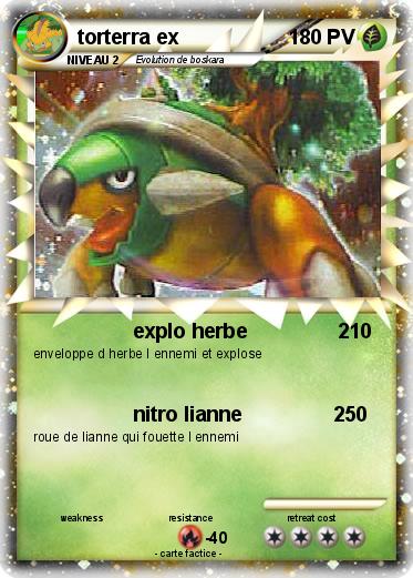 Pokemon torterra ex