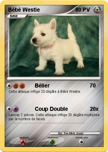 Pokemon Bébé Westie