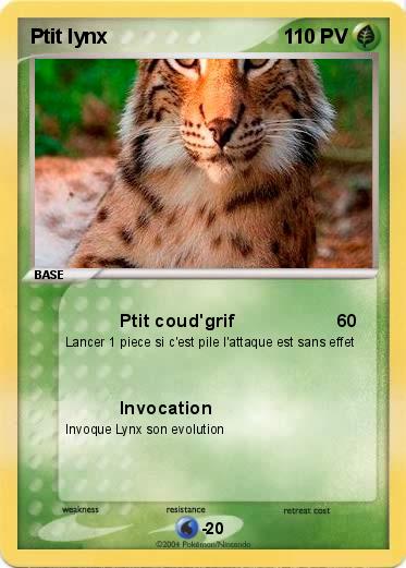 Pokemon Ptit lynx