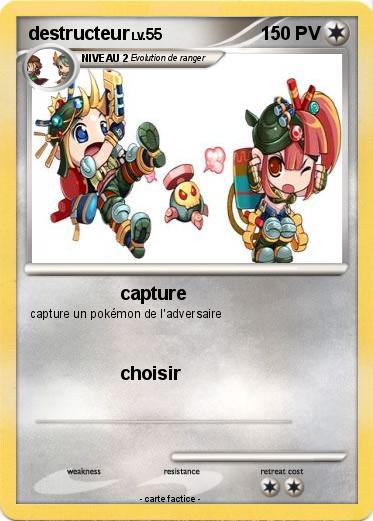 Pokemon destructeur