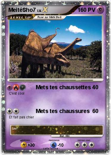 Pokemon MeitéSho7