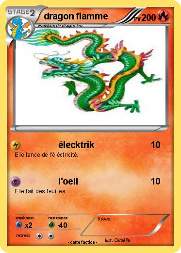 Pokemon dragon flamme