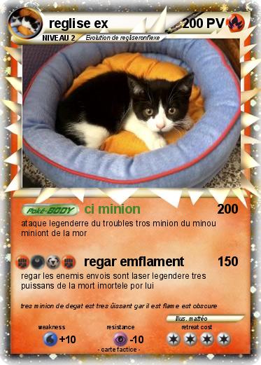 Pokemon reglise ex