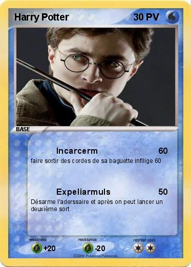 Pokemon Harry Potter 