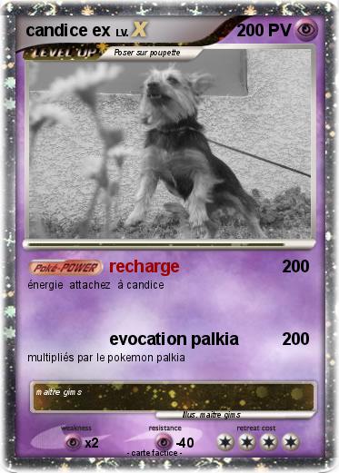 Pokemon candice ex