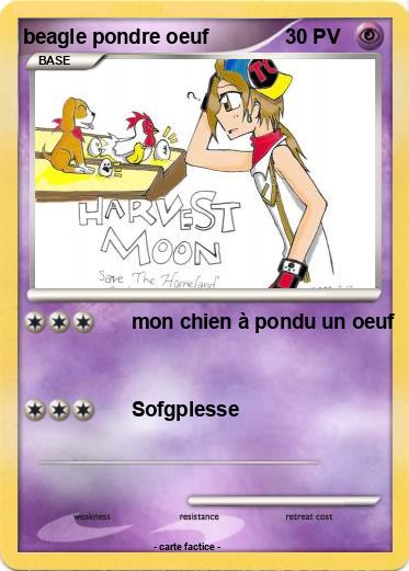 Pokemon beagle pondre oeuf