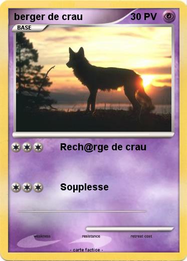 Pokemon berger de crau