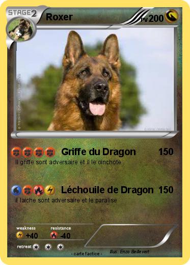 Pokemon Roxer