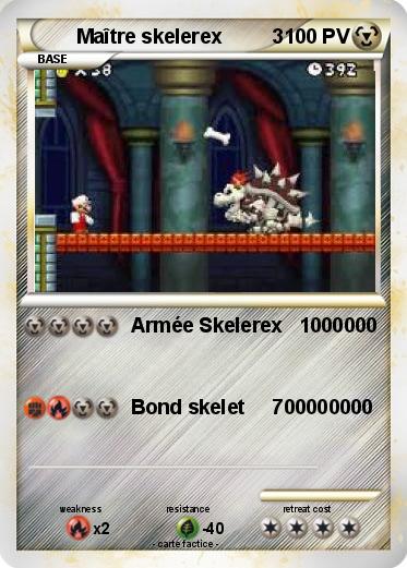 Pokemon Maître skelerex         3