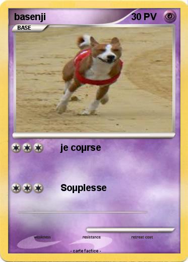 Pokemon basenji