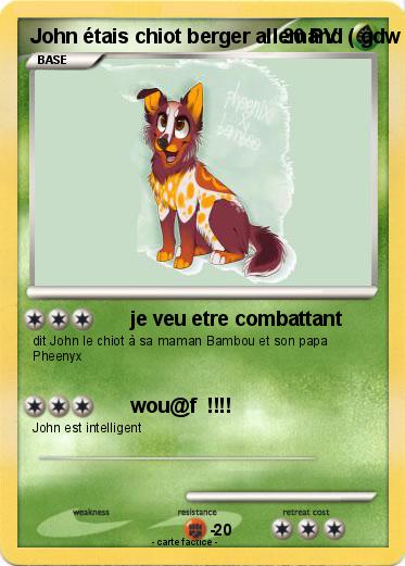 Pokemon John étais chiot berger allemand ( gdw )