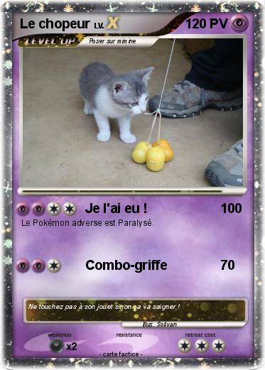 Pokemon Le chopeur