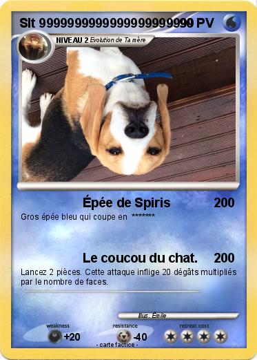 Pokemon Slt 9999999999999999999999