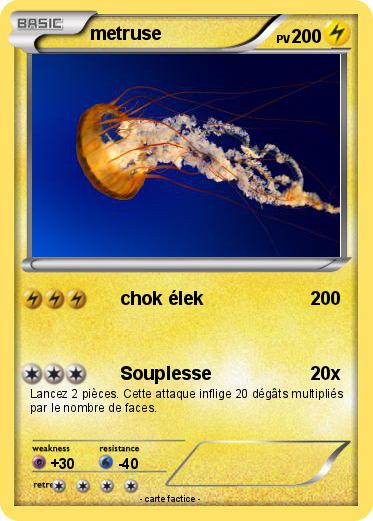 Pokemon metruse