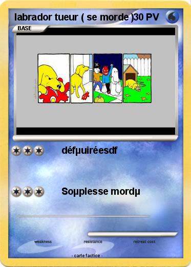 Pokemon labrador tueur ( se morde )