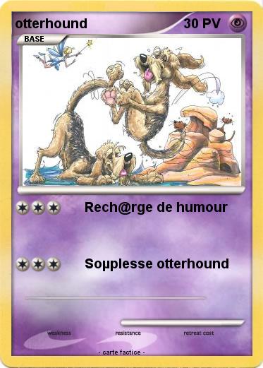 Pokemon otterhound