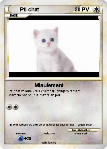 Pokemon Pti chat