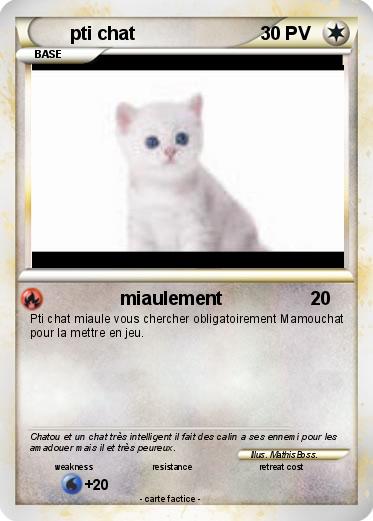 Pokemon pti chat